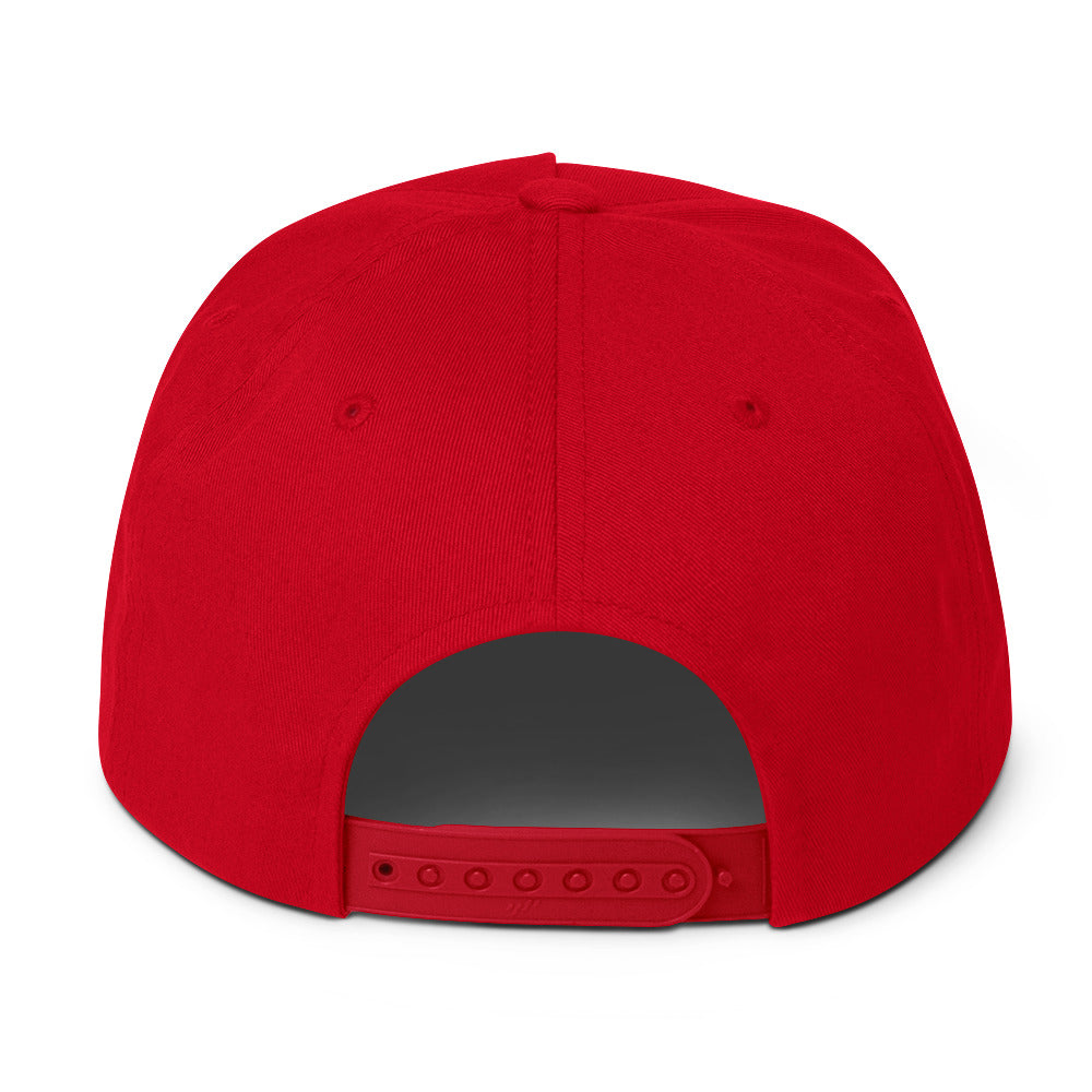 HPA Flat Bill Cap